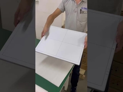 17*17 평면 판 탐지기