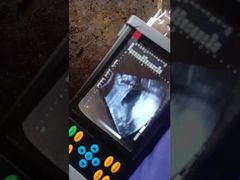 휴대용 수의학 초음파 스캐너 BR-VET7