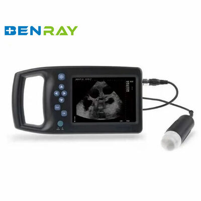 Handheld Veterinary Ultrasound Scanner